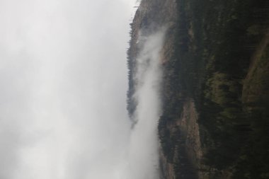 sisli bulutlar karanlık Alp dağ ormandan yükselen