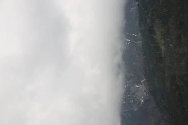 Туманные облака, поднимающиеся из темных альпийских лесов — стоковое фото
