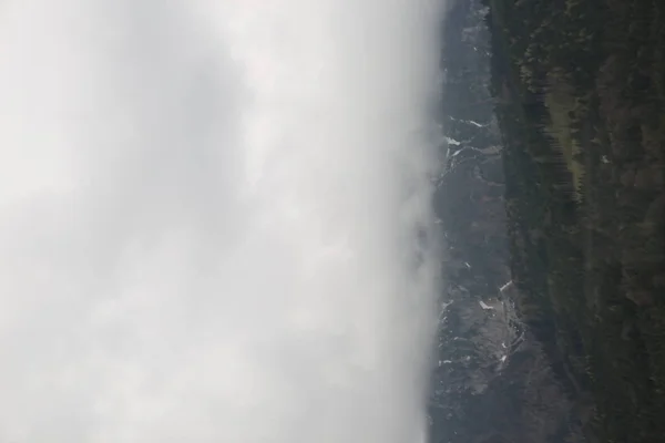 Mistige wolken stijgen van donkere alpine bergbos — Stockfoto