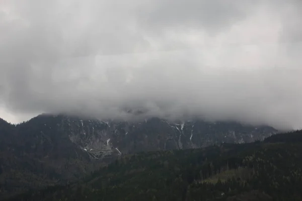 Туманні хмари, що піднімаються з темного альпійського гірського лісу — стокове фото