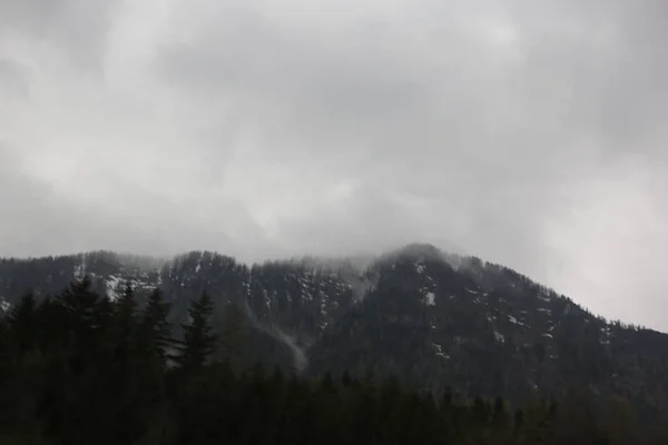 Nuvens nebulosas subindo da floresta montanhosa alpina escura — Fotografia de Stock