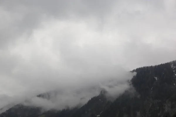 Ködös felhők sötét alpesi hegyi erdő emelkedik — Stock Fotó
