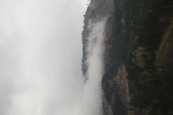 Nubes de niebla surgiendo del oscuro bosque montañoso alpino — Foto de Stock