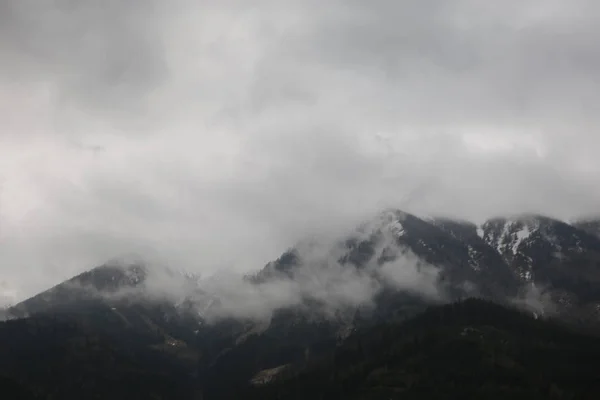 Ομιχλώδης σύννεφα αυξάνεται από το σκοτεινό βουνό αλπικό δάσος — Φωτογραφία Αρχείου