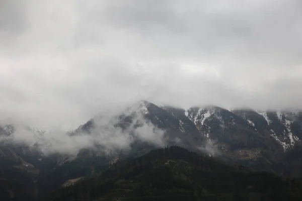 Nuvens nebulosas subindo da floresta montanhosa alpina escura — Fotografia de Stock