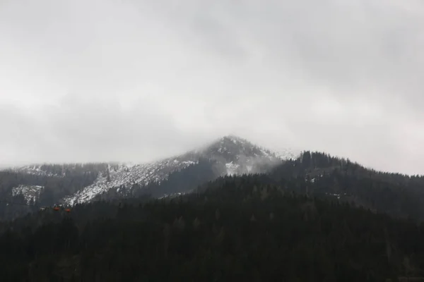 Mistige wolken stijgen van donkere alpine bergbos — Stockfoto