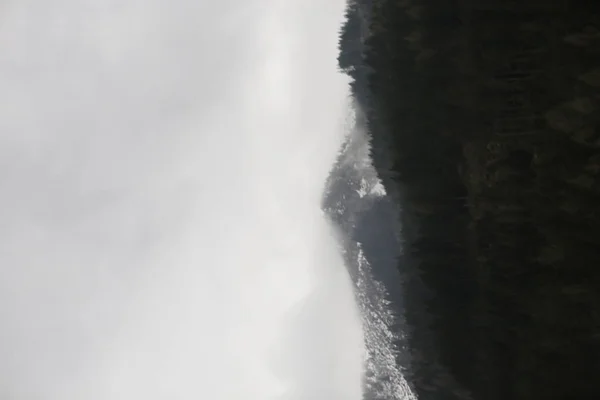 Mistige wolken stijgen van donkere alpine bergbos — Stockfoto