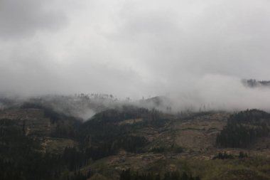 sisli bulutlar karanlık Alp dağ ormandan yükselen