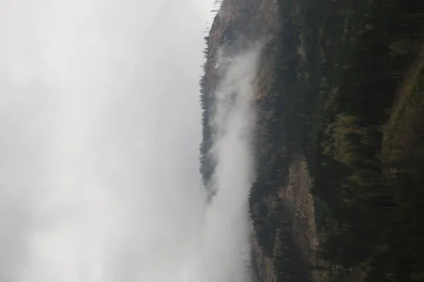 Foggy clouds rising from dark alpine mountain forest — Stock Photo, Image