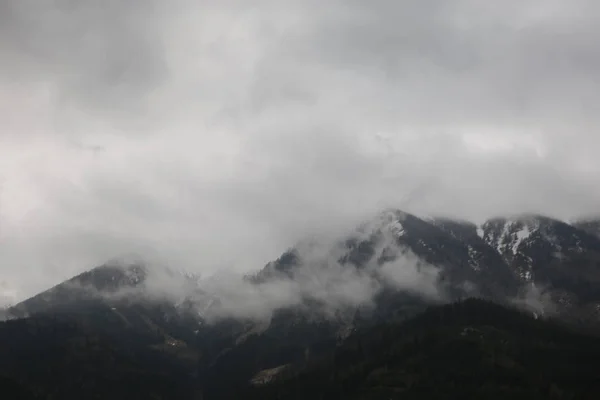 Nuvens nebulosas subindo da floresta montanhosa alpina escura — Fotografia de Stock