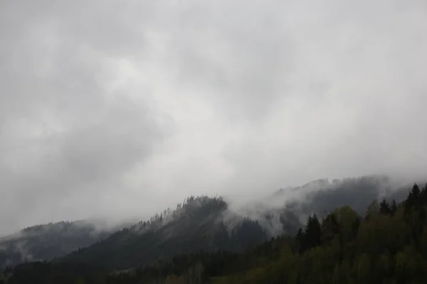 Nuvens nebulosas subindo da floresta montanhosa alpina escura — Fotografia de Stock