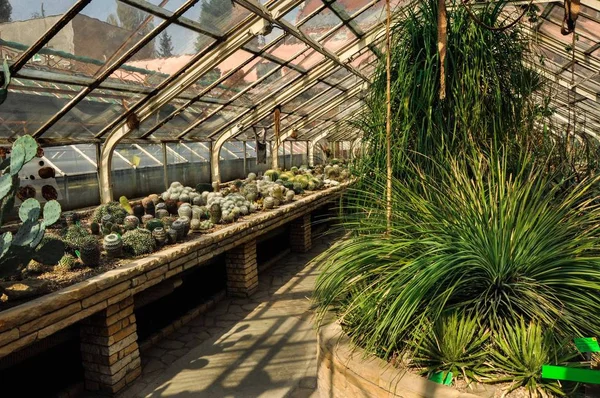 Wroclaw Botanik Bahçesi