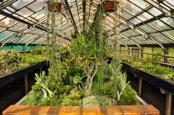 Wroclaw Botanik Bahçesi