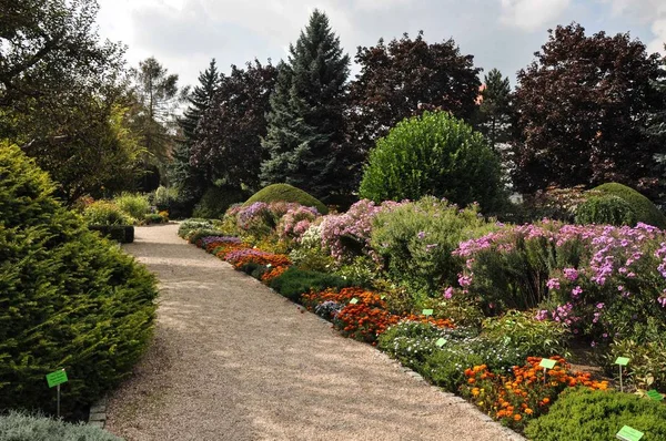 Wroclaw Botanik Bahçesi