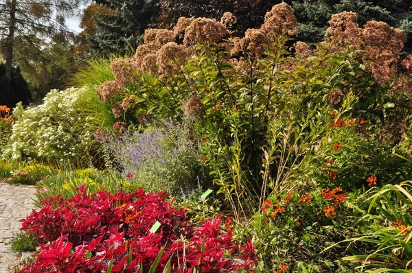 Wroclaw Botanik Bahçesi