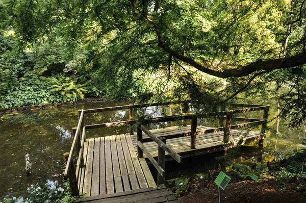 Wroclaw Botanik Bahçesi