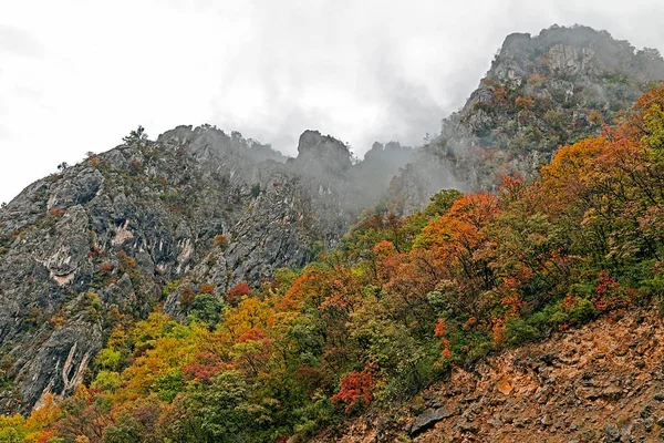 ドナウ川渓谷の秋 — ストック写真