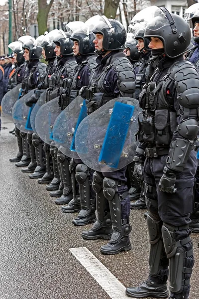 Солдаты жандармерии в строю — стоковое фото