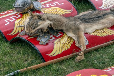 Roma antik silah türü