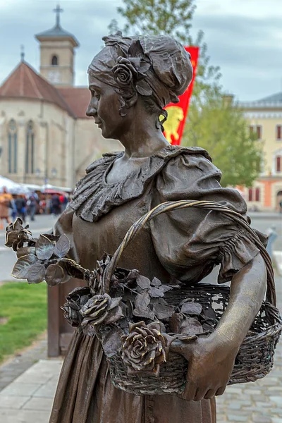 Estátua de bronze em Alba Iulia, Roménia — Fotografia de Stock