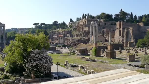 Vista sobre las ruinas del Foro Romano 1 — Vídeo de stock