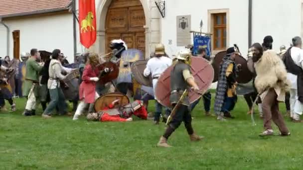 Soldados dacios y romanos haciendo una demostración de lucha 5 — Vídeos de Stock