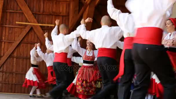 Dançarinos de Portugal em traje tradicional — Vídeo de Stock