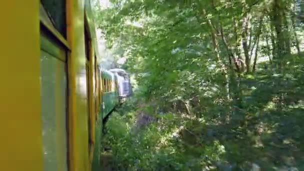 Vacance pociąg z ludźmi w wakacje. nagrań 4 k 3 — Wideo stockowe