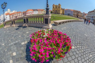 Timisoara, Romanya Birliği Meydanı'nda bir bölümünün görünümünü