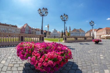 Timisoara, Romanya Birliği Meydanı'nda bir bölümünün görünümünü