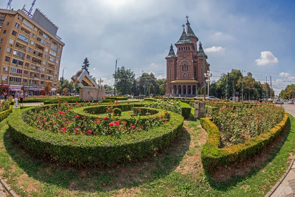 Kompozycje kwiatowe w Victory Square Timisoary z Metropolita — Zdjęcie stockowe