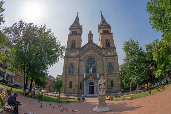 Timisoara, Romanya Millennium Katedrali — Stok fotoğraf
