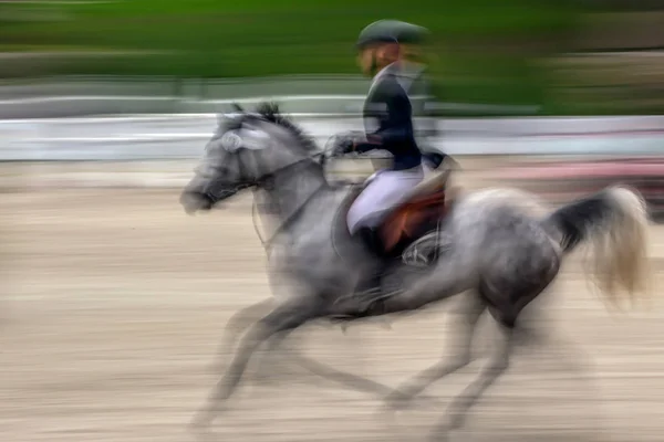 Garota Equestre Pulando Obstáculo Com Cavalo Cinza-maçã Imagem de