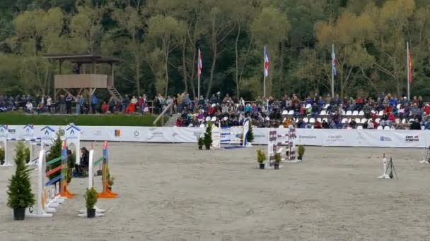 Cavaleiro e cavalo em exposição pulando em evento equestre — Vídeo de Stock