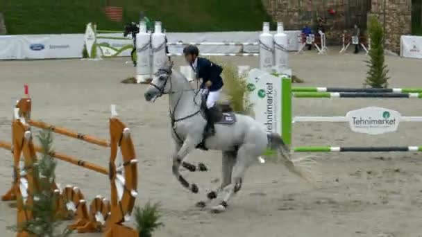 Cavaleiro e cavalo em exposição pulando em evento equestre — Vídeo de Stock