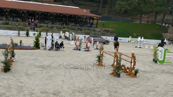 Cavaleiro e cavalo em exposição pulando em evento equestre — Vídeo de Stock