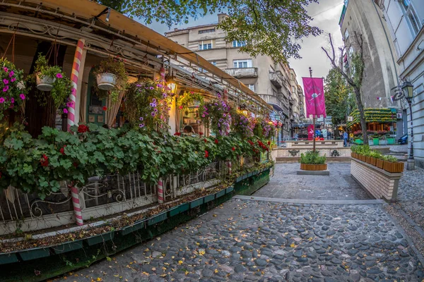 Ristorante sulla vecchia strada Skadarlija, Belgrado, Serbia — Foto Stock