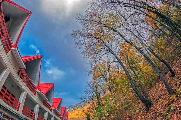 秋の植生と赤い屋根 — ストック写真