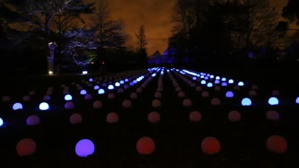 London England November 2017 Game Lights Royal Kew Gardens Christmas — Stock Video