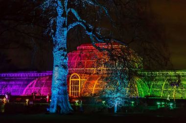 Kew Bahçeleri, Londra 'da ışıklar projeksiyonları ile pictorial görünümü