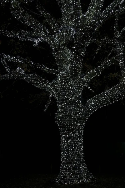Δέντρο διακοσμημένο με φώτα στο χρόνο Χριστουγέννων — Φωτογραφία Αρχείου