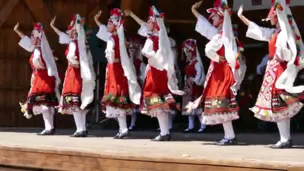 Timisoara Roumanie Juillet 2017 Des Danseurs Bulgares Costume Traditionnel Produisent — Video