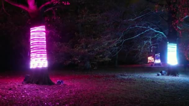 Londra Regno Unito Novembre 2017 Royal Kew Gardens Decorato Illuminato — Video Stock