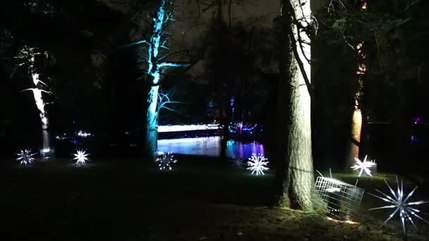 Londres Reino Unido Noviembre 2017 Royal Kew Gardens Decorado Iluminado — Vídeos de Stock