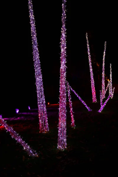 Νυχτερινές διακοσμήσεις στα Χριστούγεννα στο Royal Kew Gardens, Λονδίνο — Φωτογραφία Αρχείου