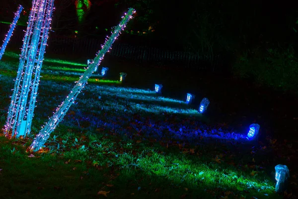 Νυχτερινές διακοσμήσεις στα Χριστούγεννα στο Royal Kew Gardens, Λονδίνο — Φωτογραφία Αρχείου