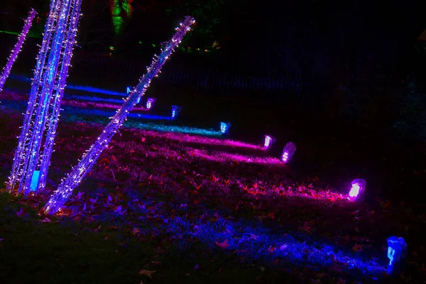 Decoraciones nocturnas en Navidad en Royal Kew Gardens, Londres — Foto de Stock
