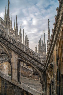 Milano Katedrali'ne architectonic detayları