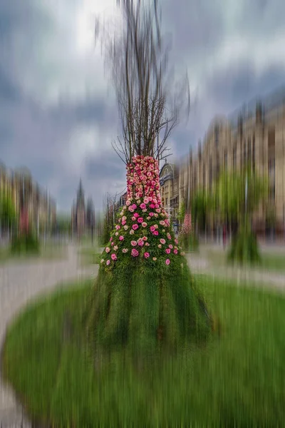 Floral arrangements with motion blur filter applied in Victory S — Stock Photo, Image