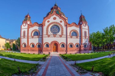 Subotica, Sırbistan için Macar Art Nouveau Sinagogu